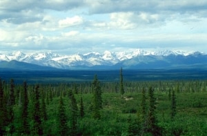 Mountains In Alaska