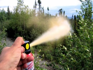 Bear spray is an important bear safety precaution.